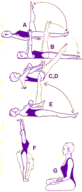 Nabhi Kriya diagrams