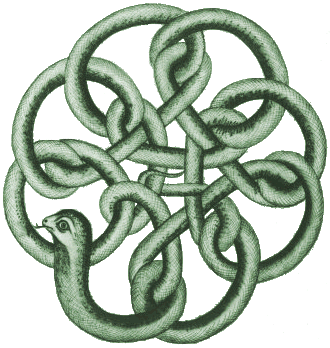 Kundalini depicted as a coiled serpent