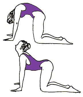 Lesson 9 - Flexibility of the Spine